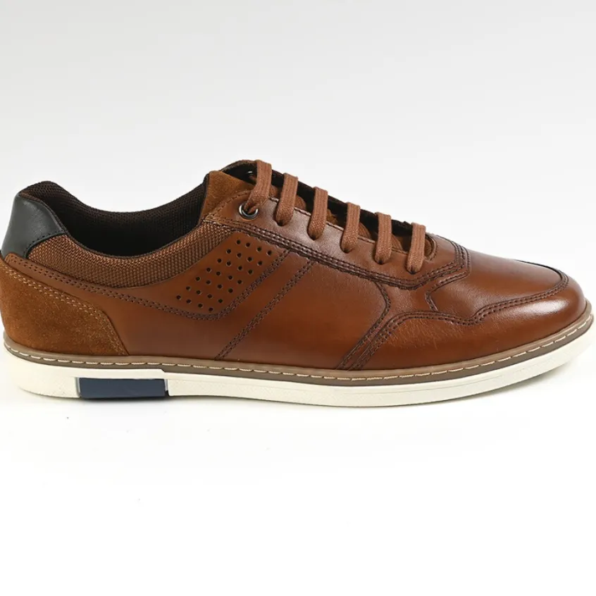 Baskets, Sneakers|FORTUNATO Baskets Homme Marron